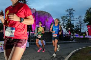 BIB: 
                            <button type="button" onclick="openModal(26529713)" class="btn btn-primary btn-sm float-right btn-popup" data-toggle="modal" data-target=".modal-high-quality">
                        <i class="fas fa-shopping-cart"></i> Add to Cart
                    </button>
                                            <button type="button" onclick="isThisMe(26529713, true)" class="btn btn-success btn-sm float-right btn-popup btn-isme hidden" data-toggle="tooltip" data-placement="bottom" title="นี่คือรูปของคุณใช่ไหม คลิกที่นี่เพื่อเอาเข้าอัลบั้ม">
                        <i class="fas fa-plus"></i> Add to album
                    </button>
                    <button type="button" onclick="isThisMe(26529713, false)" class="btn btn-warning btn-sm float-right btn-popup btn-isnotme hidden">
                        <i class="fas fa-ban"></i> Remove from album
                    </button>